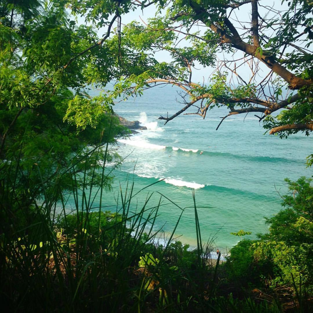 Brisamar Guesthouse Puerto Escondido (Oaxaca) Exteriör bild